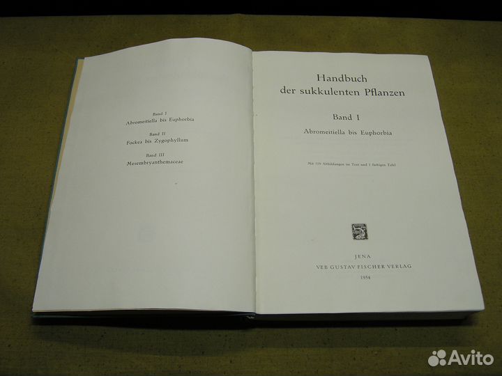 Handbuch der Sukkulenten Pflanzen Hermann Jacobsen