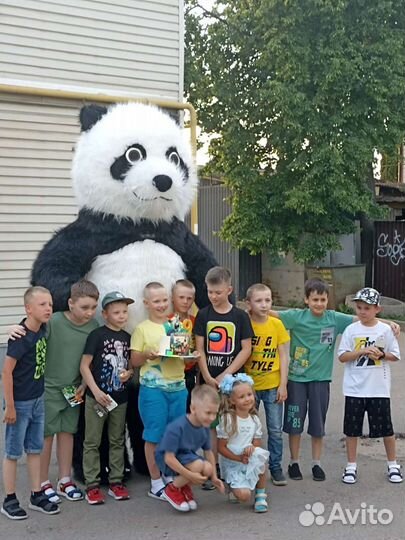 Поздравление от надувной панды