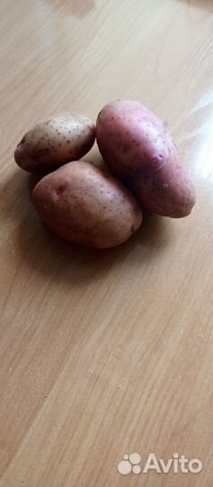 Продам картофель 10 мешков сор Розала