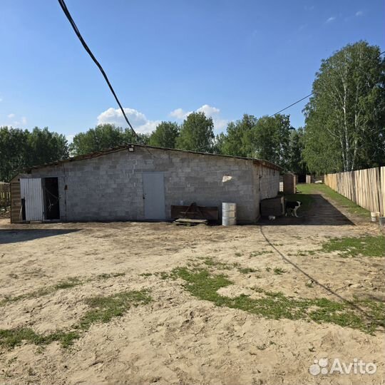 Животноводческая ферма продаю