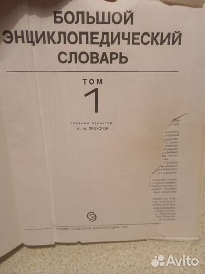 Большой энциклопедический словарь, Толковый