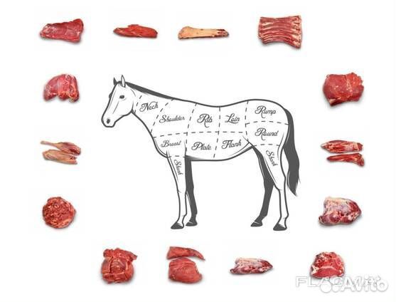 Продам мясо конина