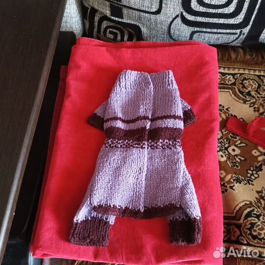 Одежда для тойчика