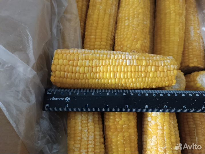 Зерно из Кукурузы замороженная