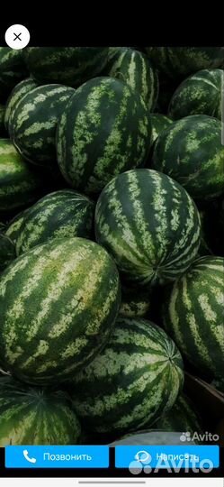 Арбузы