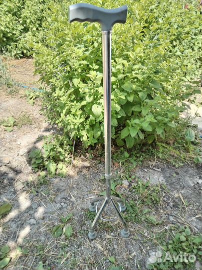 Костыль на четырёх ножках, торг