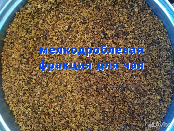 Чага, 1 кг, от заготовителя