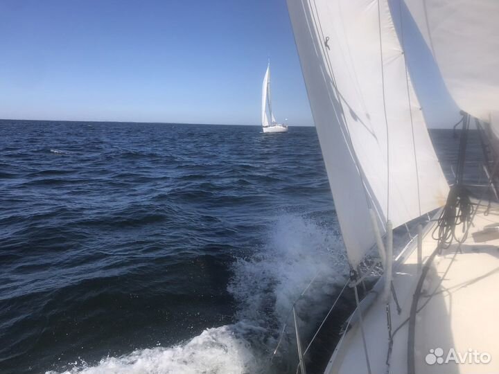 Продажа Comfort 30