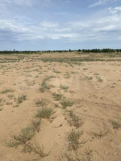 Участок 7 сот. (ИЖС)