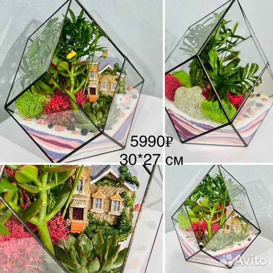 Большой флорариум с растениями