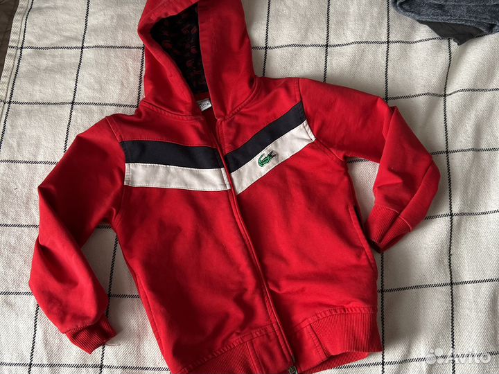 Олимпийка lacoste 104