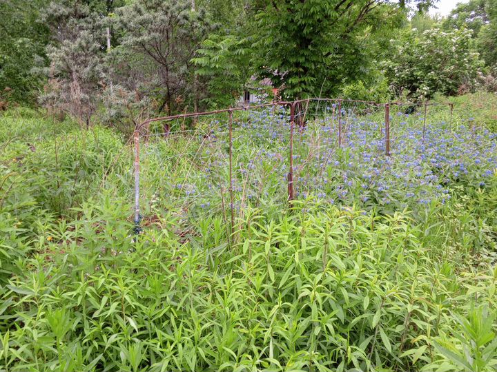 Дача 24 м² на участке 6 сот.