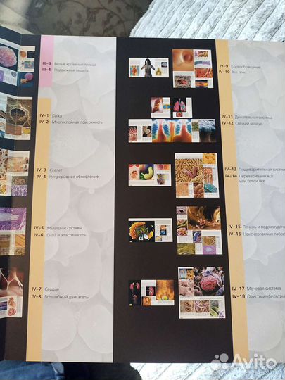 Большой атлас анатомии человека