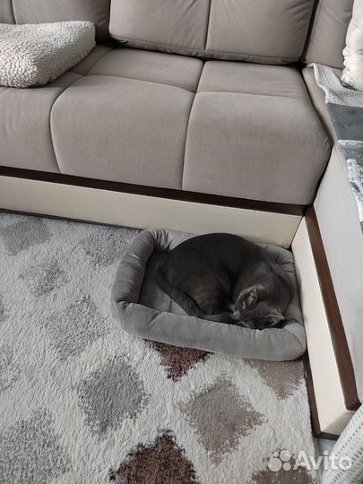 Лежанка для кошек