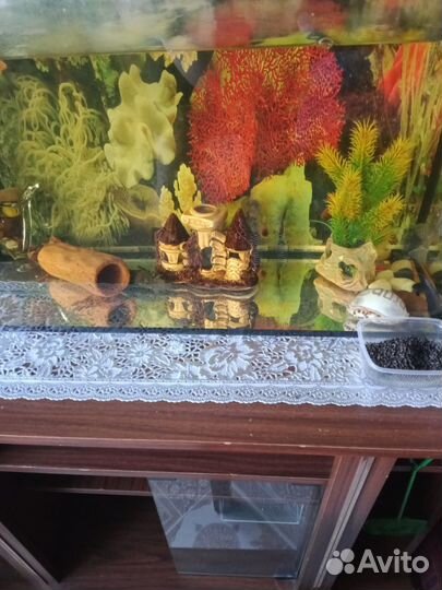 Аквариум на 70 литров с тумбой