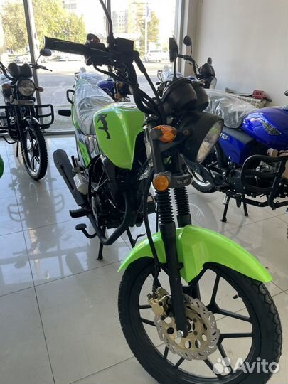Raser rc150-23