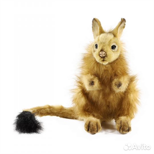 Hansa Мягкая игрушка Капский долгоног 24см