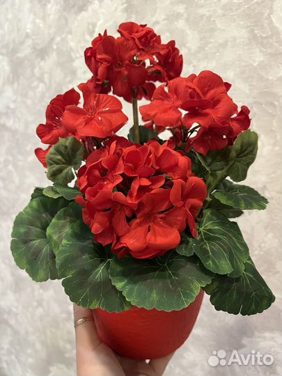 Искусственные растения герань