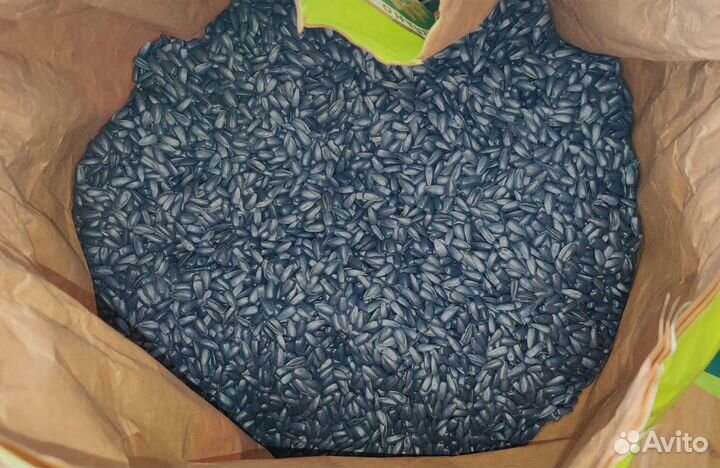 Семена подсолнечника Горфилд,Гудсан,Ника