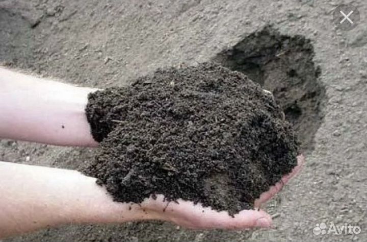 Чернозем, плодородный земля навоз перегной