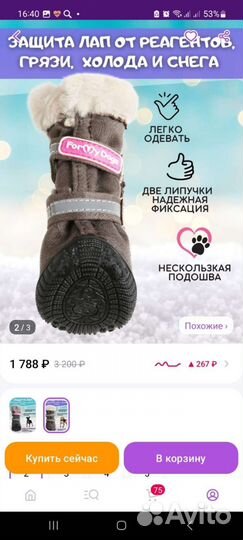 Обувь для собак