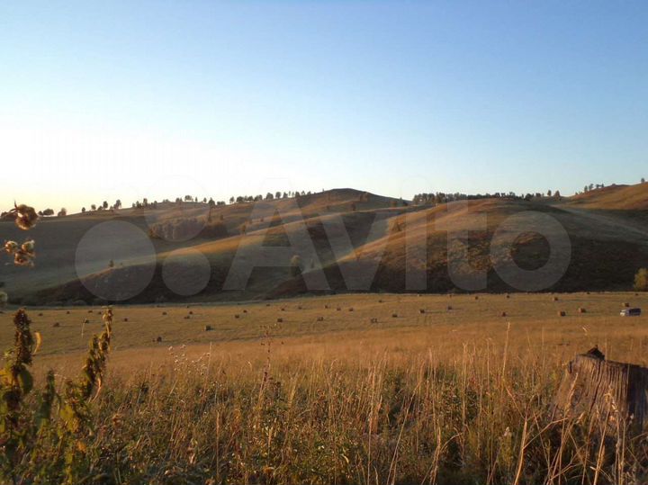 Участок 24 га (СНТ, ДНП)