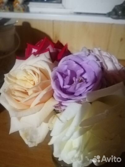 Розы Дэвида Остина питомник