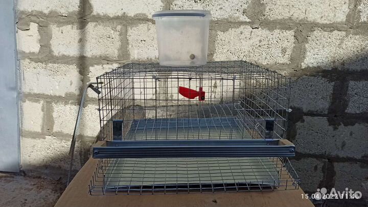 Клетка для перепелов
