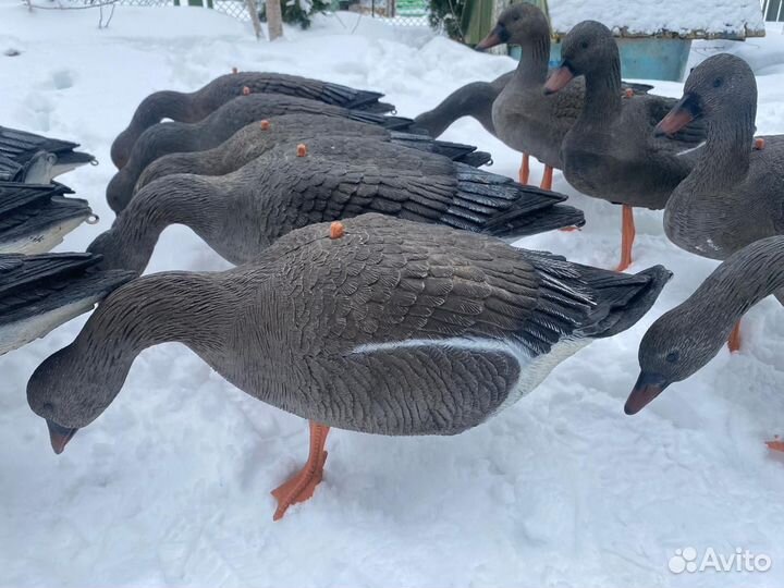 Чучела гуся sport plast