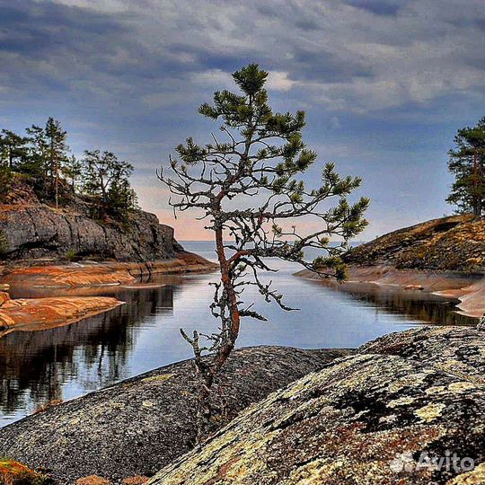 Водные перевозки