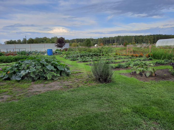 Дом 102 м² на участке 22,3 сот.