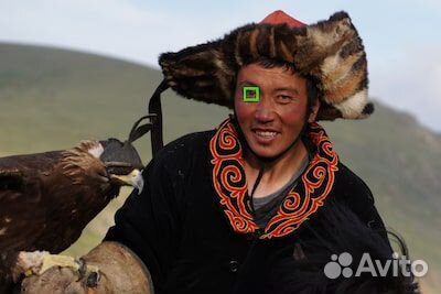 Sony Alpha ilce-6600 Body