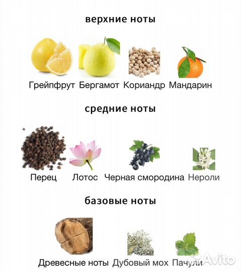 Мужские духи In Blue Armand Basi 50 мл. Оригинал