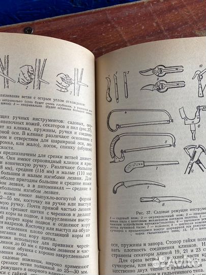 Садоводство и цветоводство книга 1983 год