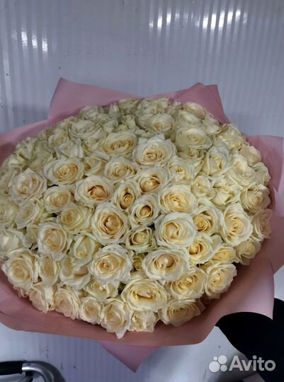 Розы