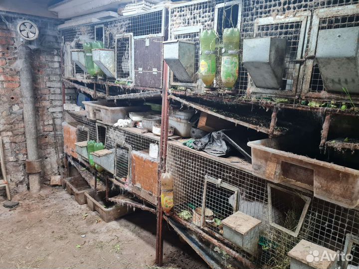 Клетка для кролика