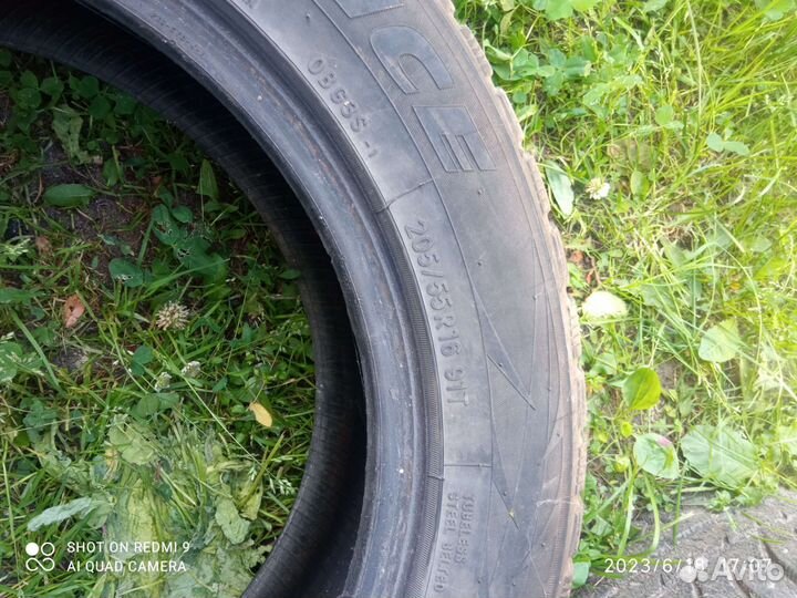 Acustica Challenger R16