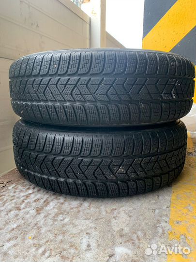 Pirelli Scorpion Winter 215/65 R17 99H
