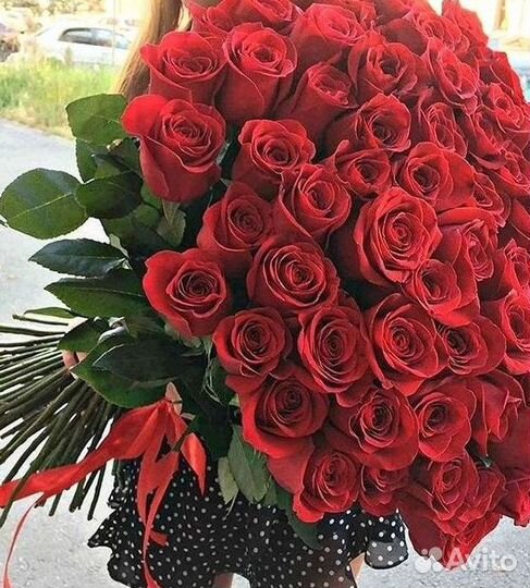 Высокие розы Гигантские розы Доставка цветов