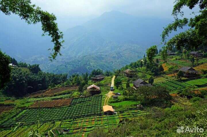 Тур во Вьетнам 7 ночей