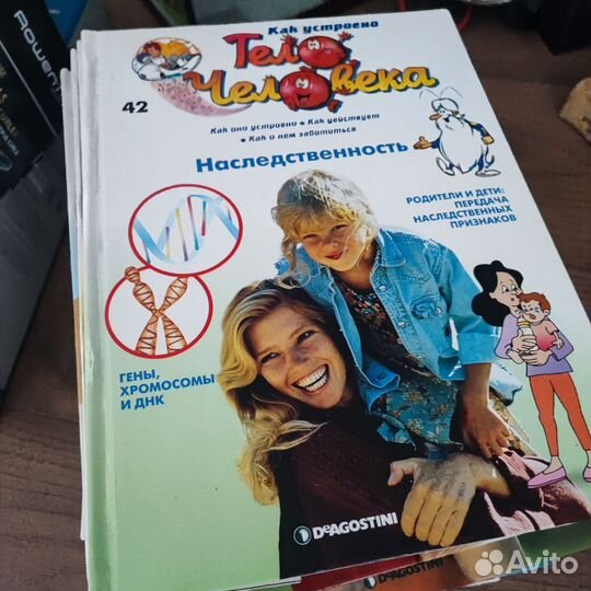 Серия книг Тело человека