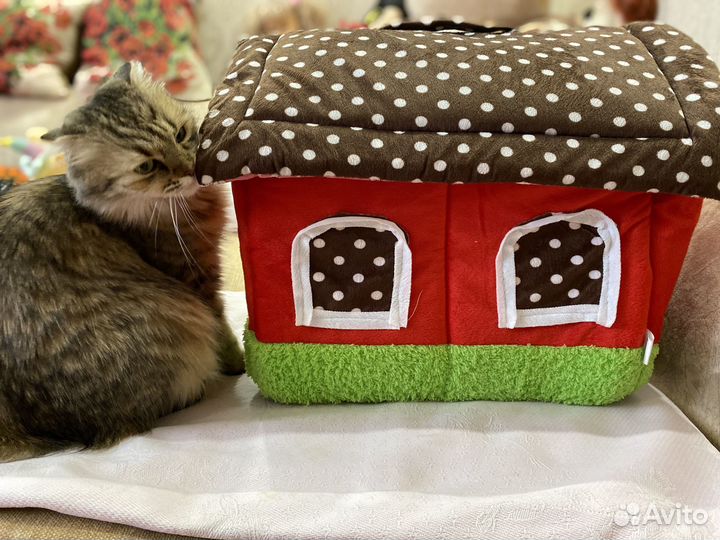 Домик для кошки