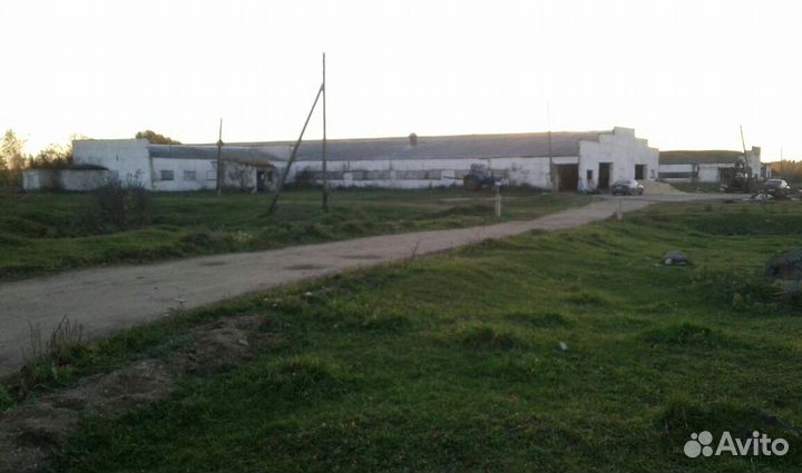 Действующее сельскохозяйственное предприятие