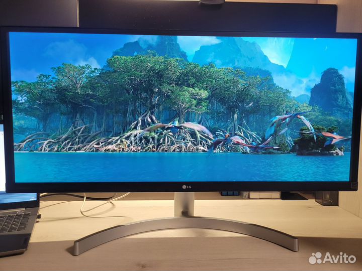 Монитор широкоформатный 21:9 LG29WK600-W