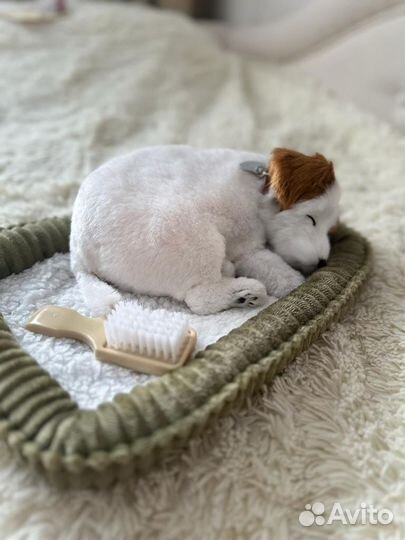 Щенок Perfect Petzzz