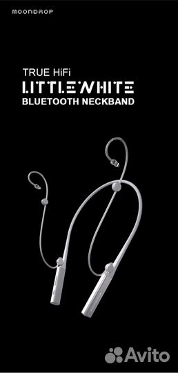 Moondrop little white