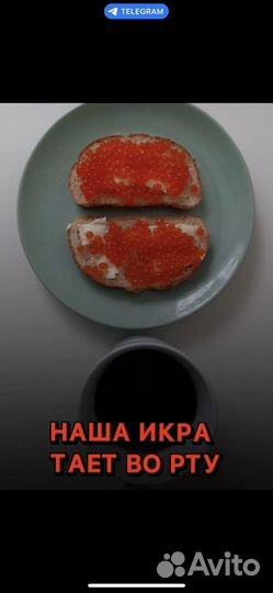 Красная икра оптом