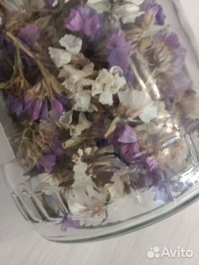 Сухоцветы для поделок