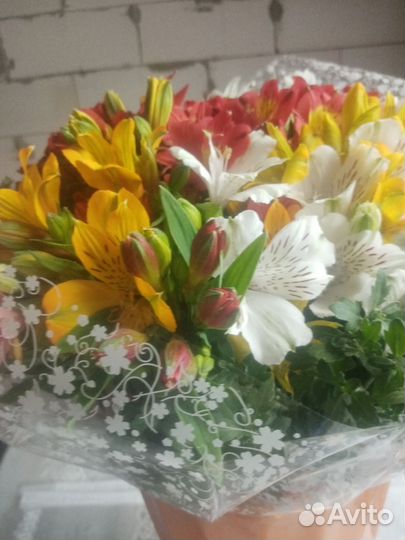 Живые цветы букеты