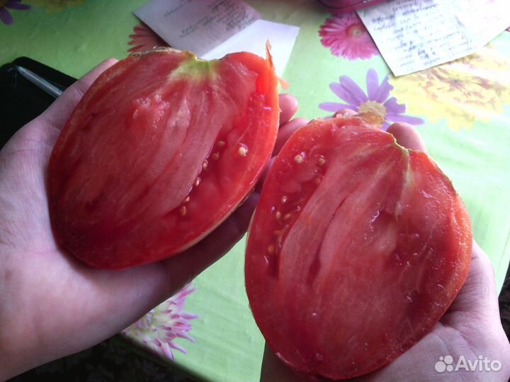 Семена самых вкусных томатов и перцев, дыни